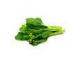 BREDE CHOI SAM (A LA PESEE)