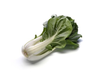 BREDE DE CHOUX BLANCS SIAO PAK CHOY (A LA PESEE)