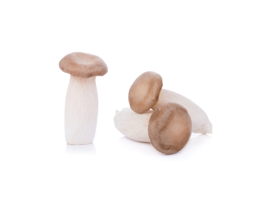 CHAMPIGNON ERENGII (A LA PESEE)