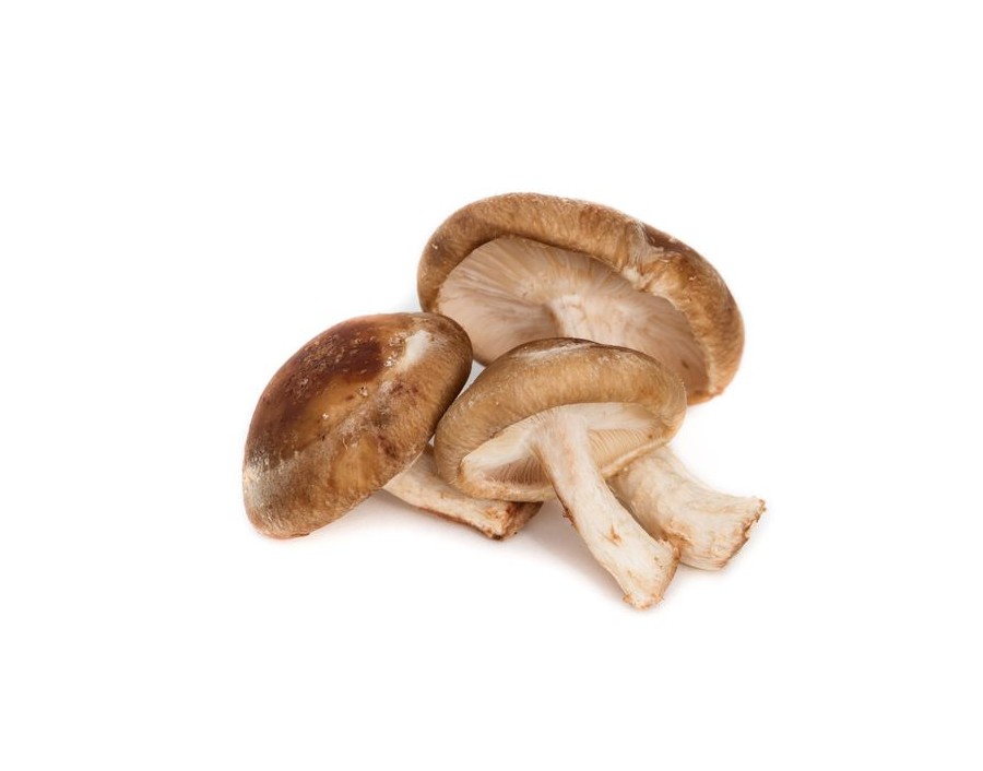 CHAMPIGNON SCHITAKEE (A LA PESEE)
