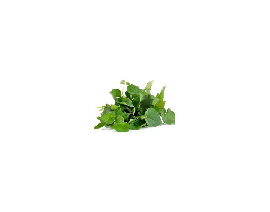 FEUILLE DE DIEP CA