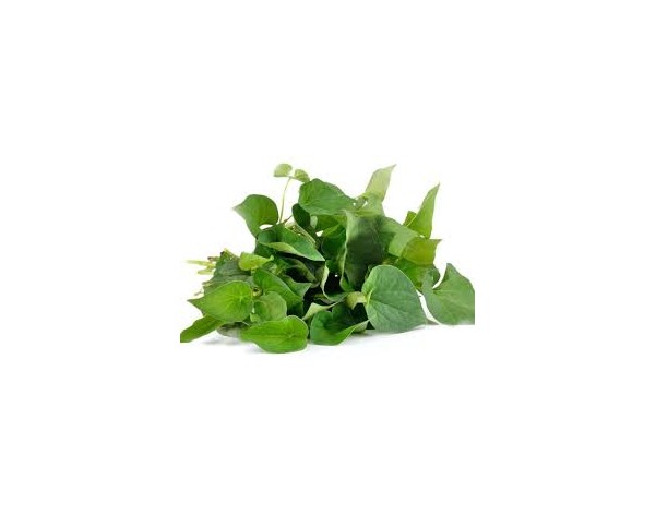 FEUILLE DE DIEP CA