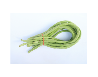 HARICOT VERT LONG (A LA PESEE)