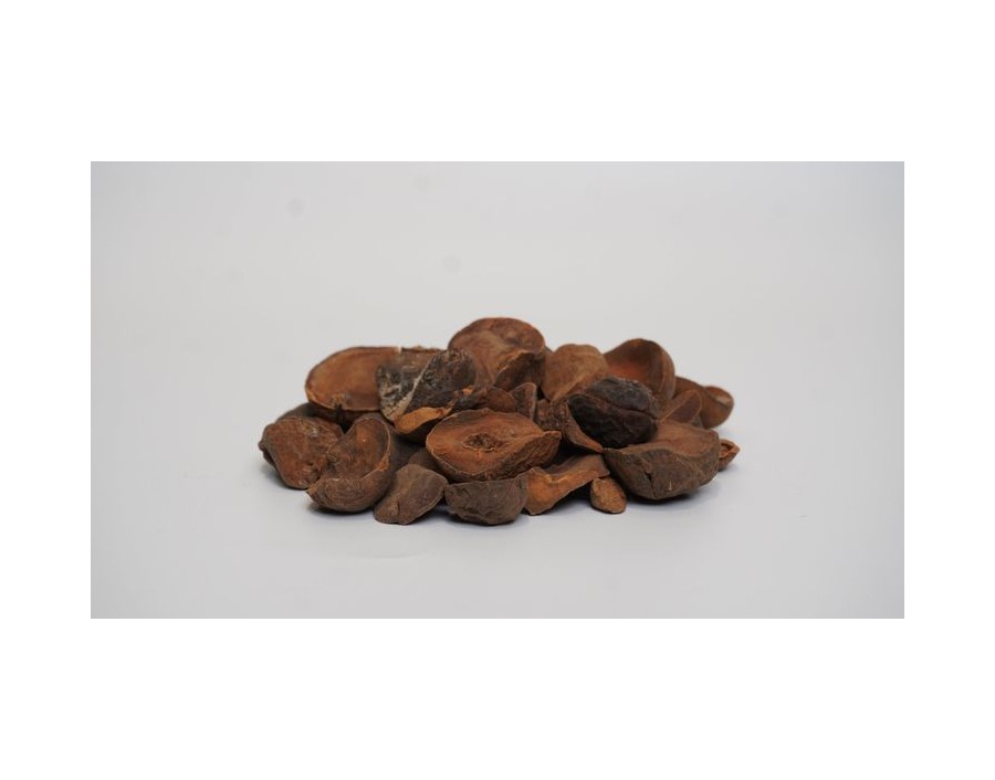 NOIX DE COLA PETIT