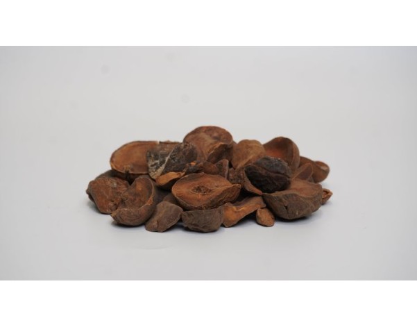 NOIX DE COLA PETIT
