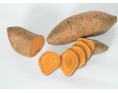 PATATE DOUCE CHAIR ROSE (A LA PESEE)