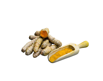 RACINE DE CURCUMA