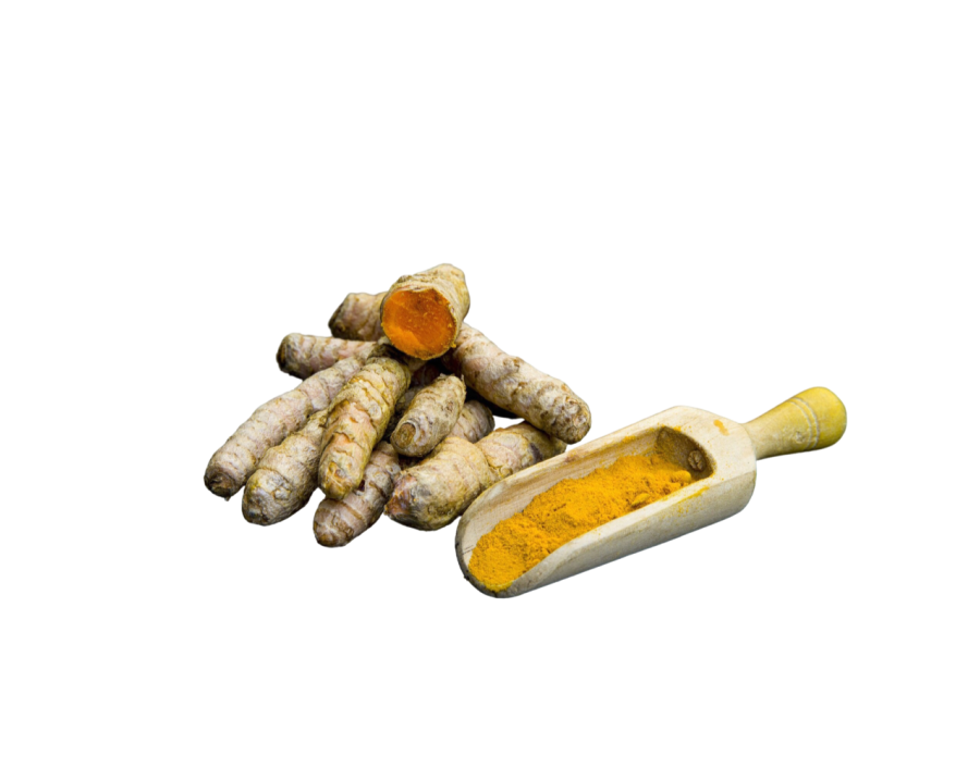 RACINE DE CURCUMA