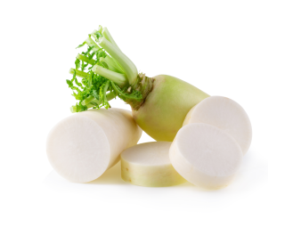 RADIS BLANC MINI (A LA PESEE)