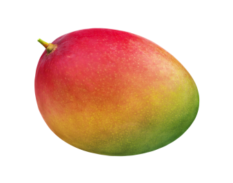 MANGUE KENT (A LA PESEE)