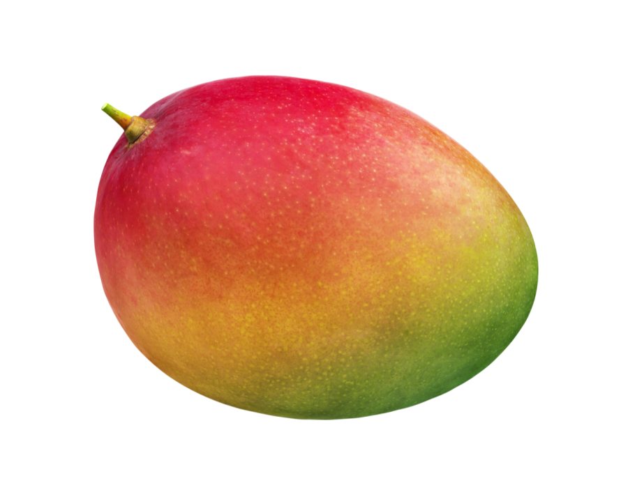 MANGUE KENT (A LA PESEE)