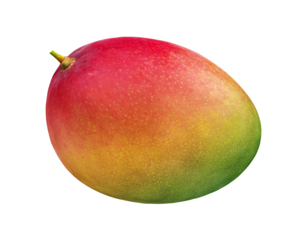 MANGUE KENT (A LA PESEE)