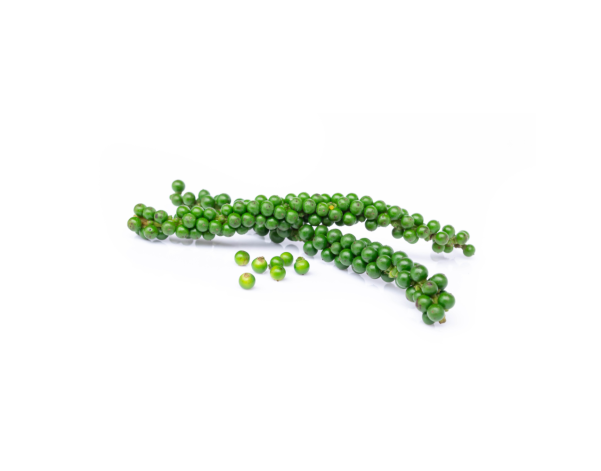 POIVRE VERT