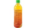 BOISSON ALOE VERA ET MANGUE