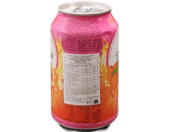 BOISSON AU THE PECHE