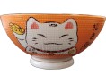 BOL COLORE CHAT 20 CM