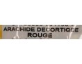CACAHUETES CRUES AVEC PEAU ROUGE