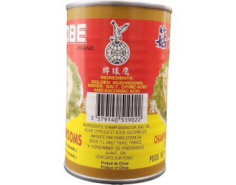CHAMPIGNON D’OR