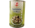 CHAMPIGNON DE PAILLE