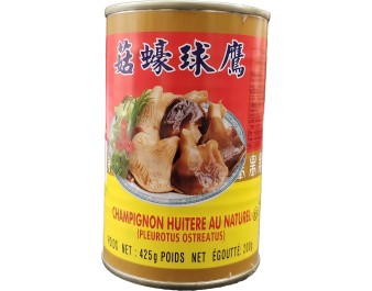 CHAMPIGNON HUITRE