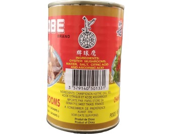 CHAMPIGNON HUITRE