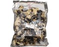 CHAMPIGNON NOIR GROS