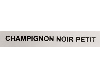 CHAMPIGNON NOIR PETIT