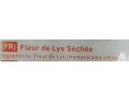 FLEUR DE LYS SECHEE