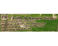 FEUILLE DE BANANE ****