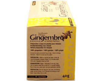 TISANE AU GINGEMBRE 20 P.