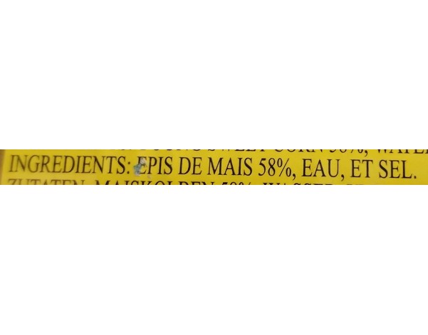 JEUNE EPIS DE MAIS