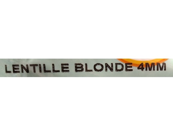 LENTILLE BLONDE SECHEE