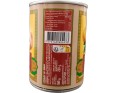 LONGAN AU SIROP
