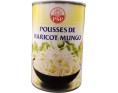 POUSSES DE HARICOT MUNGO