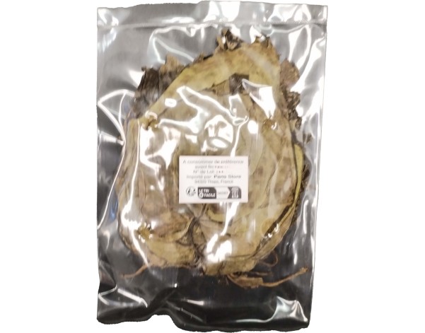 FEUILLE DE BETEL SECHEE