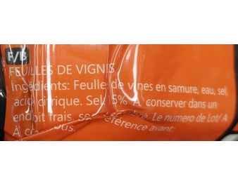 FEUILLE DE VIGNE