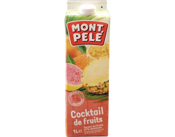 NECTAR AU COCKTAIL DE FRUITS