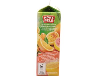 NECTAR AU COCKTAIL DE FRUITS