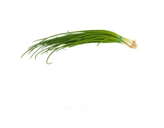 CIBOULETTE ( A LA PESEE )