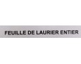 FEUILLE DE LAURIER ENTIER