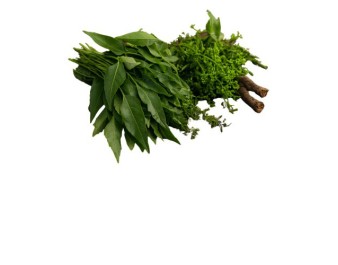 FEUILLE DE SADAO