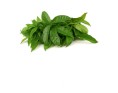 FEUILLE DE YANANG ( A LA PESEE )