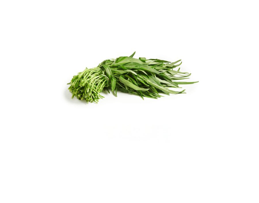 LISERON D’EAU AVEC FEUILLE (A LA PESEE)