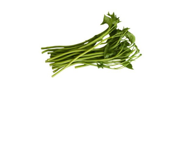 LISERON D’EAU BLANC (A LA PESEE)