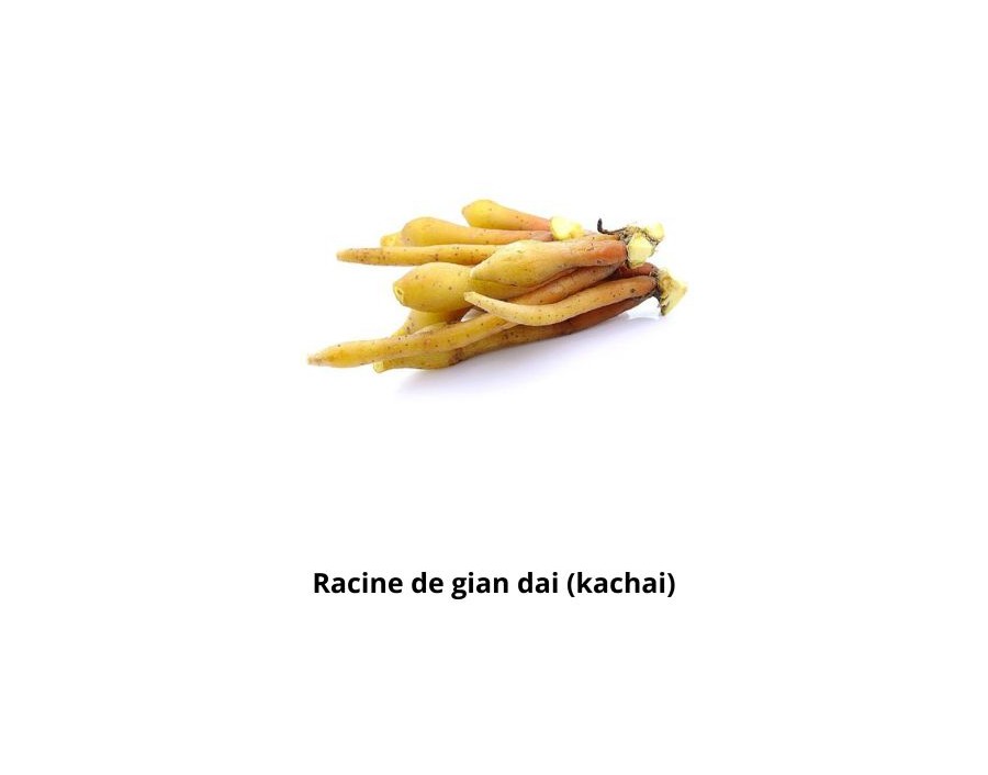 RACINE DE GIAN DAI (KACHAI)