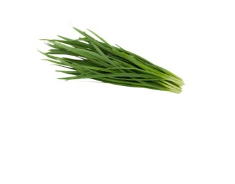TIGE DE CIBOULETTE ( A LA PESEE)