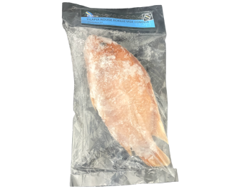 POISSON TILAPIA ROUGE VIDE ECAILLE 600/800 (A LA PESEE) ****