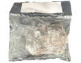 POULPE ENTIER NETTOYE 1200-1500 (A LA PESEE) ****