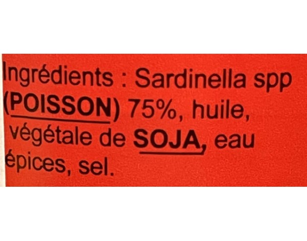 PATE DE SARDINELLE