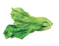 FEUILLE DE MOUTARDE KAI CHOY (A LA PESEE)